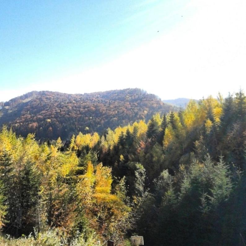 Шаленарозі Migovo Exterior foto