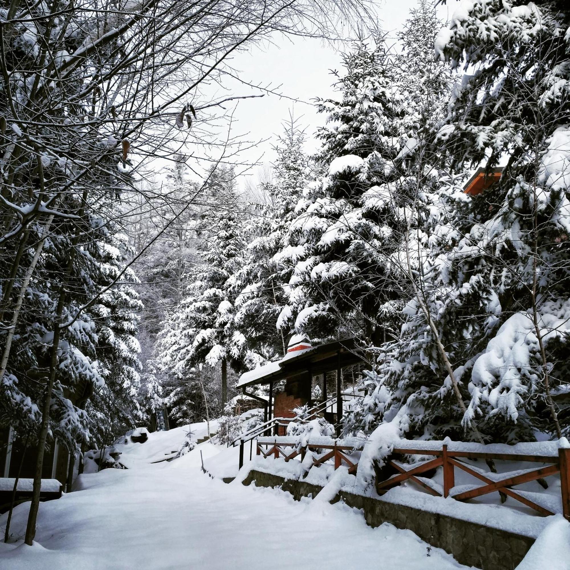 Шаленарозі Migovo Exterior foto