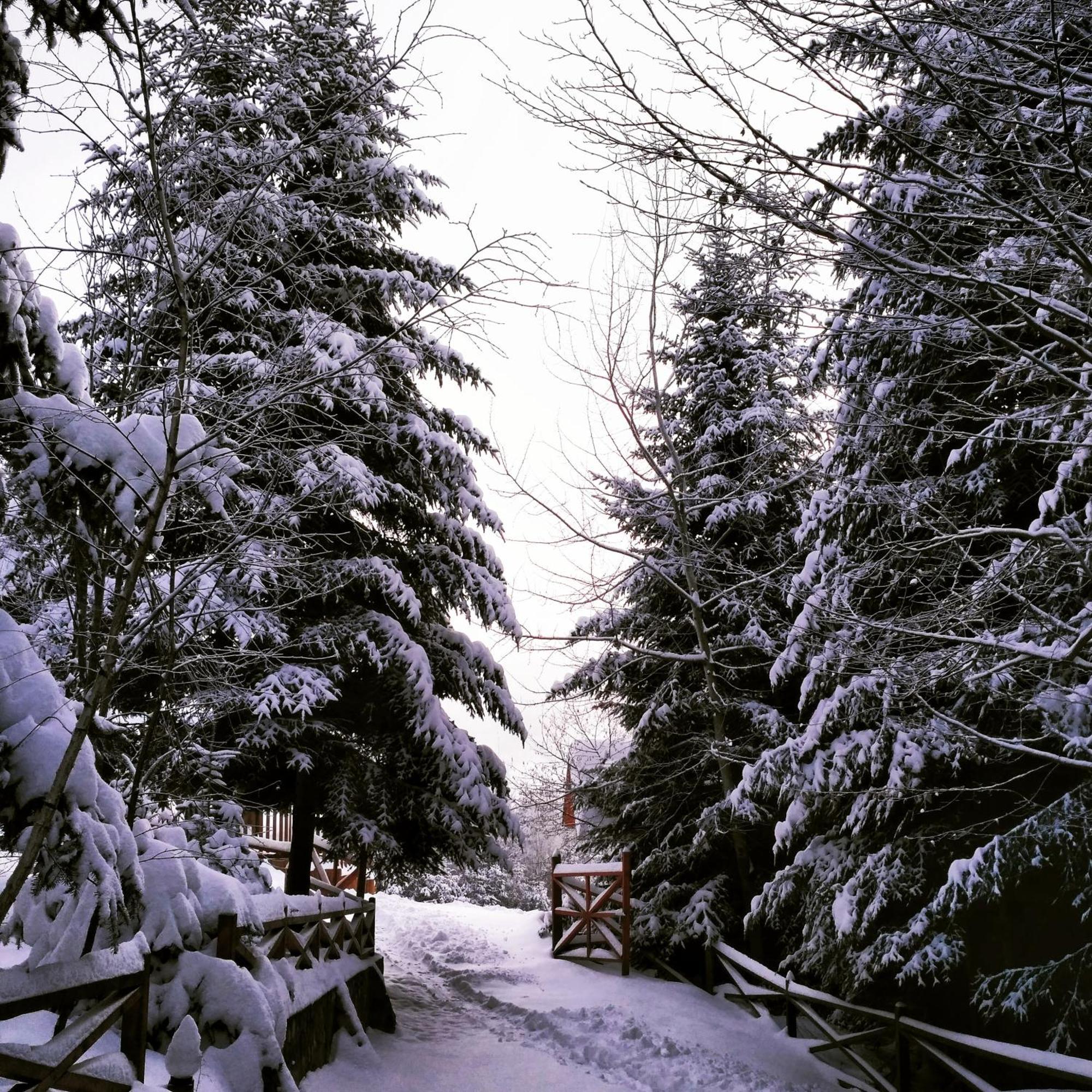 Шаленарозі Migovo Exterior foto