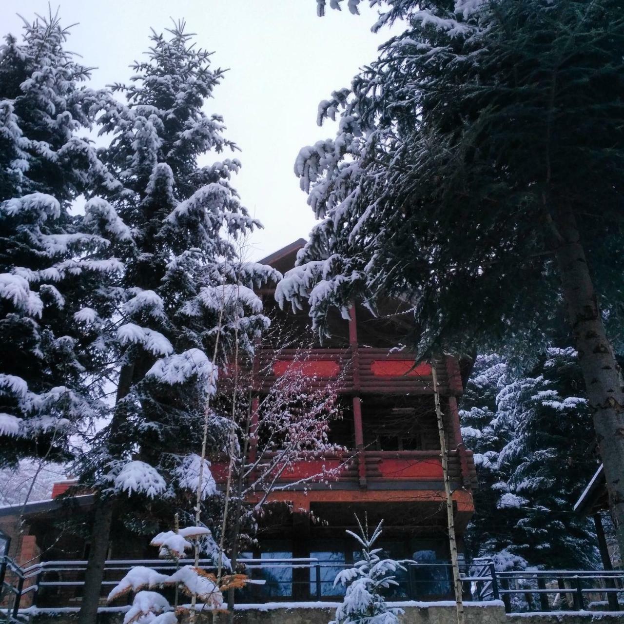 Шаленарозі Migovo Exterior foto
