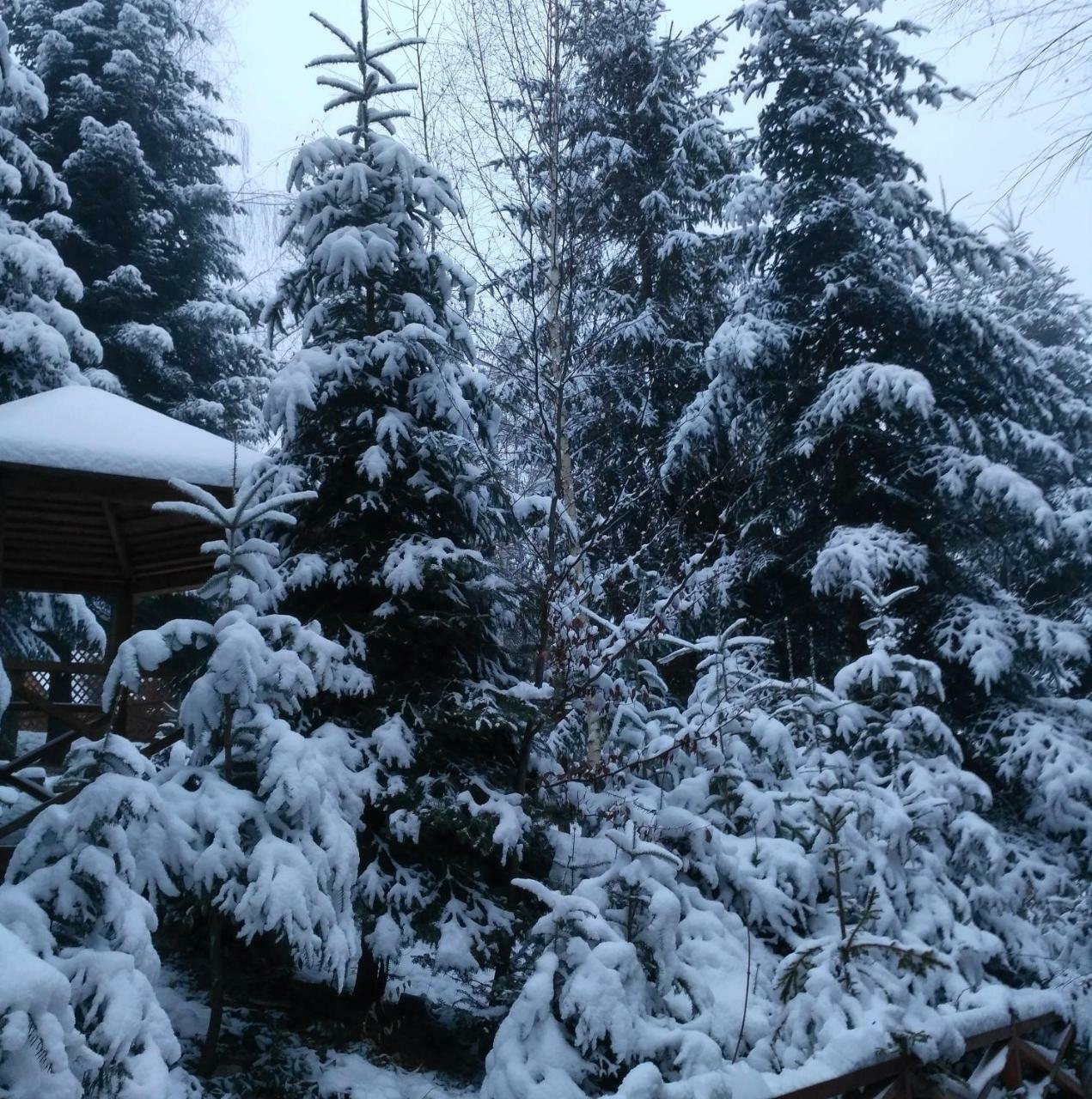 Шаленарозі Migovo Exterior foto