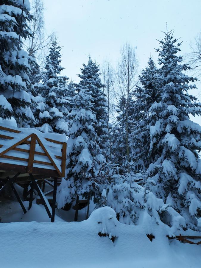 Шаленарозі Migovo Exterior foto